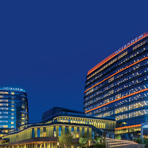 Acibadem atasehir hastanesi ilave poliklinikler mantis kablo